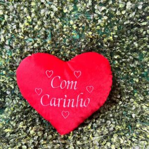 Coraçaõ de pelucia
