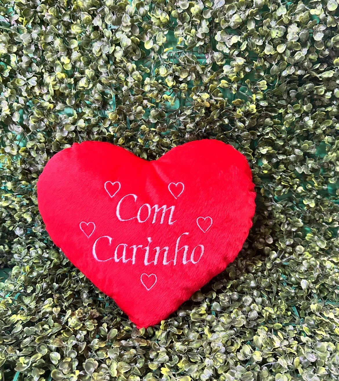 Coraçaõ de pelucia